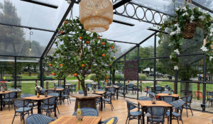 Herschel summit black zero light heaters in Cheltenham Town hall orangery