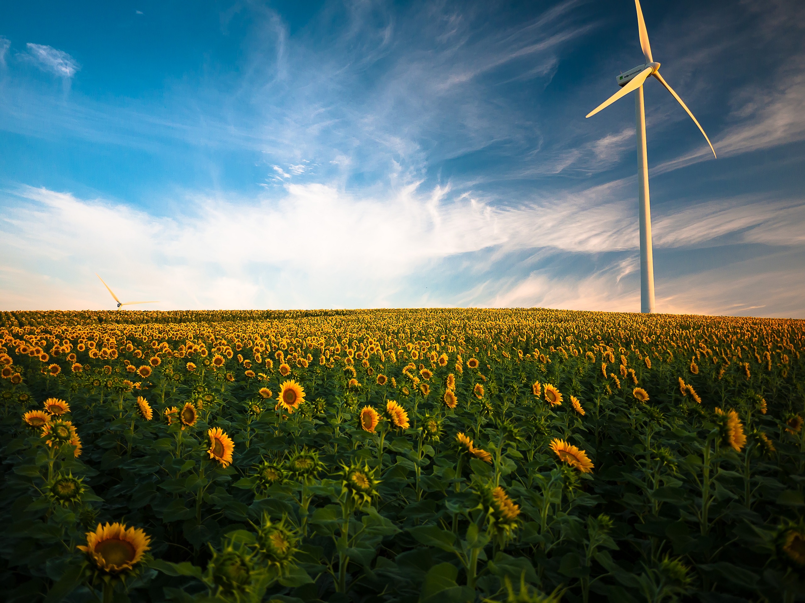 Sustainability