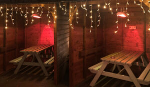 Ceiling-mounted Herschel Miami heaters