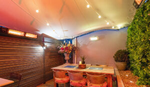 Manhattan commercial patio heaters installed in outdoor bar area