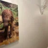 Herschel Inspire picture panel Elephant