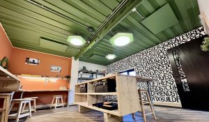 Herschel Infrared panel heaters painted for discreet use in DIYSOS