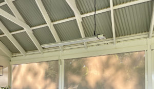 Herschel Summit in conservatory