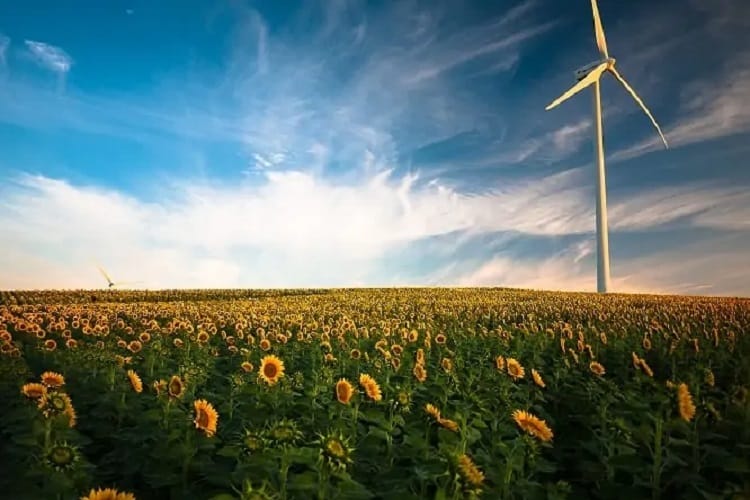 Greener future
