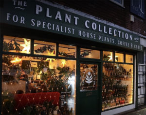 The Plant Collection heated by Herschel