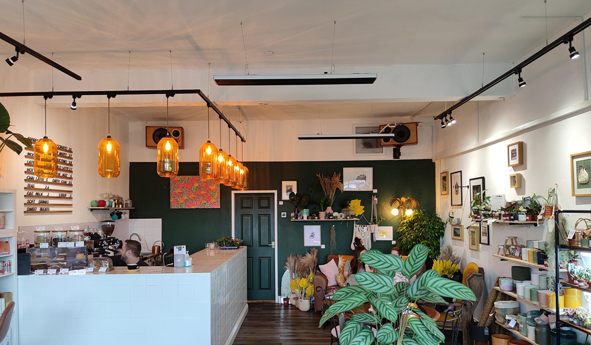 Herschel Black summit in coffee shop and plant shop