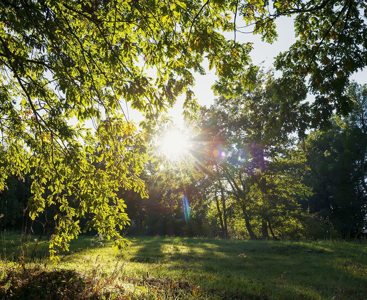 infrared is the same heat we feel from an environment warmed by the sun
